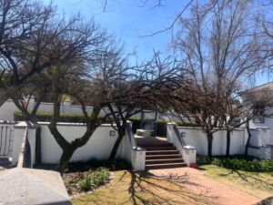 66 Peter Place Office Park 