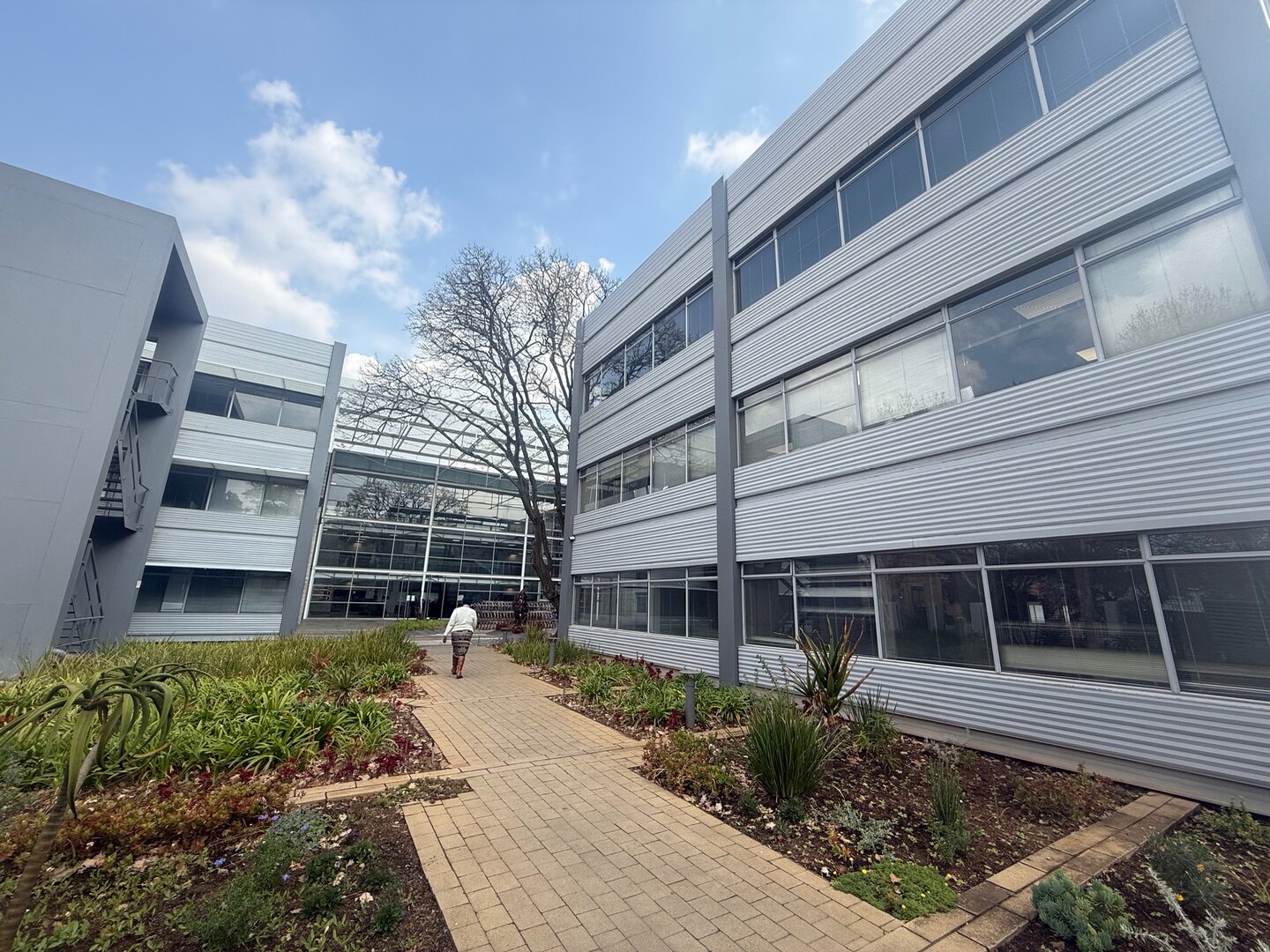 313 sqm Office to Rent in 33 Fricker Illovo