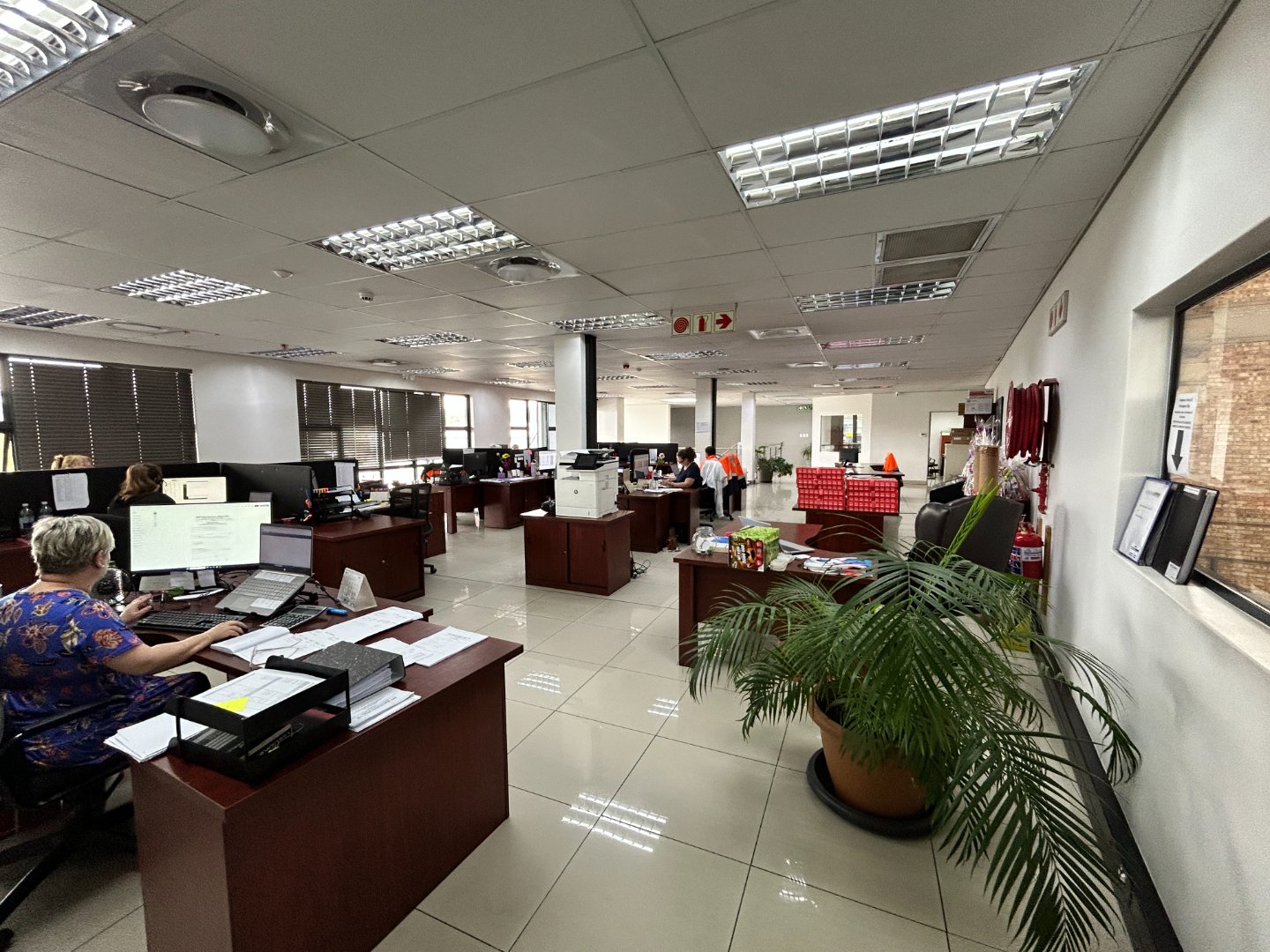 Modern office workspace with multiple desks and employees working. A spacious office environment featuring several workstations, employees engaged in tasks, and a large potted plant near the window.