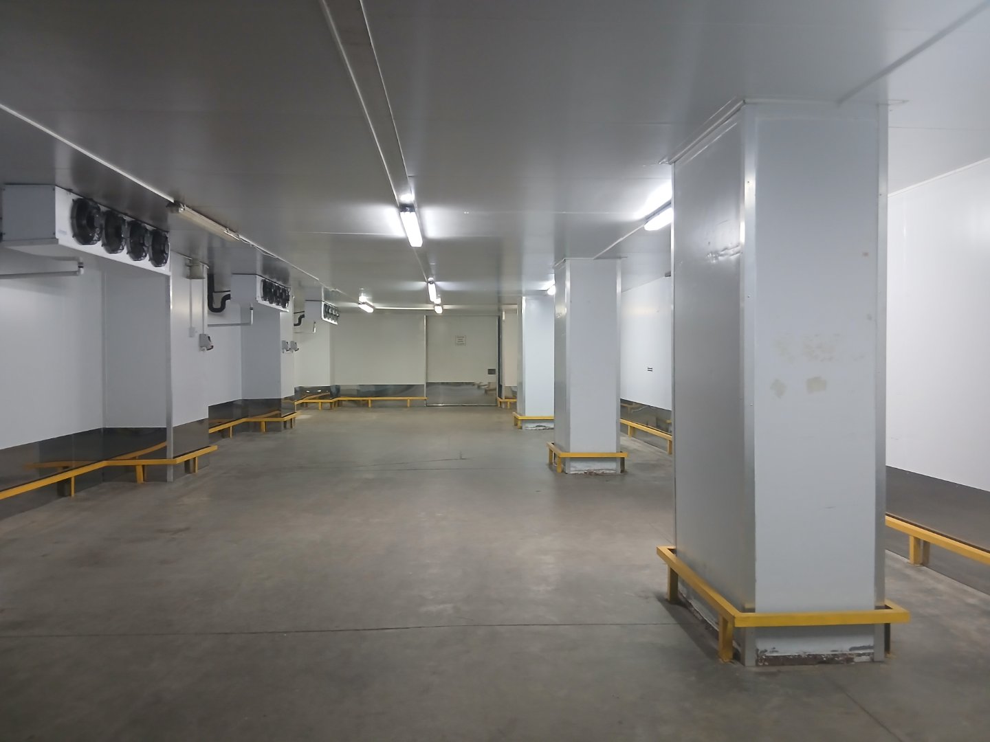 Spacious Warehouse Interior Empty warehouse with white walls, concrete floor, and yellow safety barriers around columns, well-lit with ceiling lights.